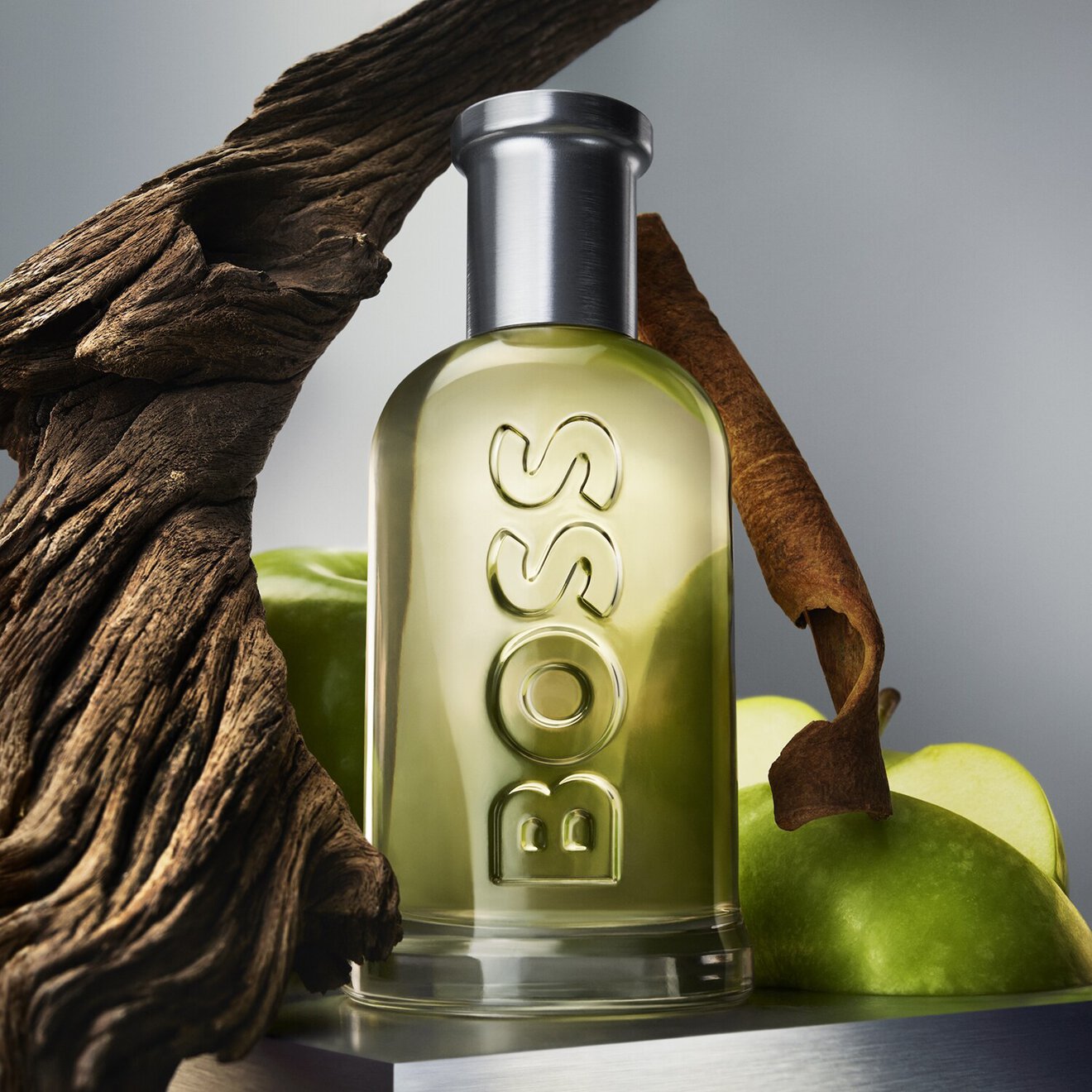 HUGO BOSS