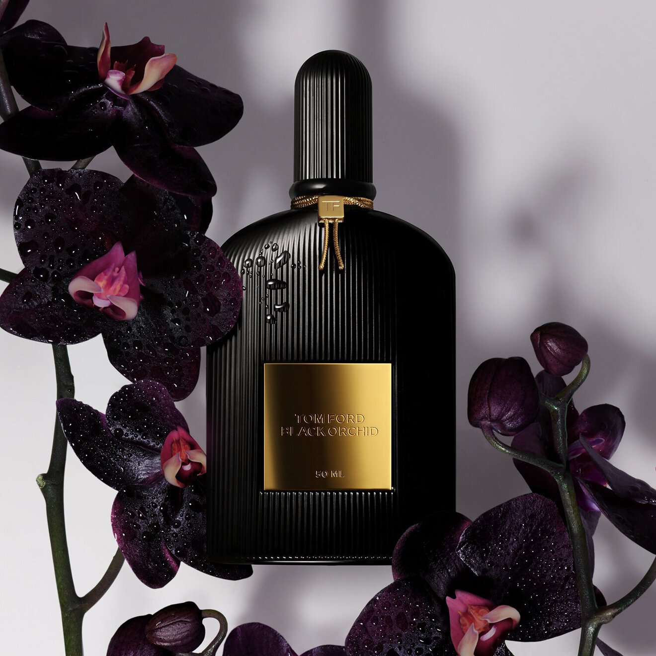 TOM FORD